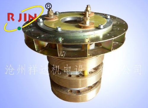 異型集電(dian)環